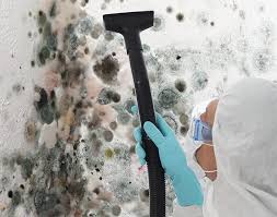 Best Mold Damage Restoration  in USA